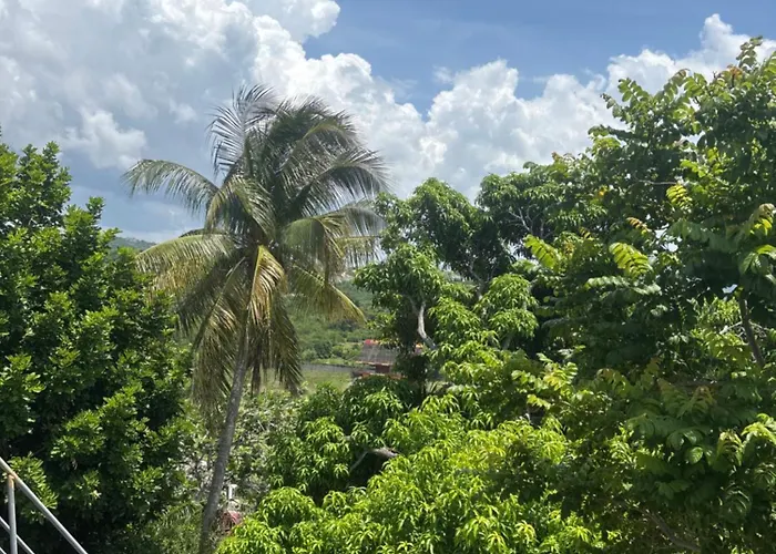 Homestay Penthouse Montego Bay