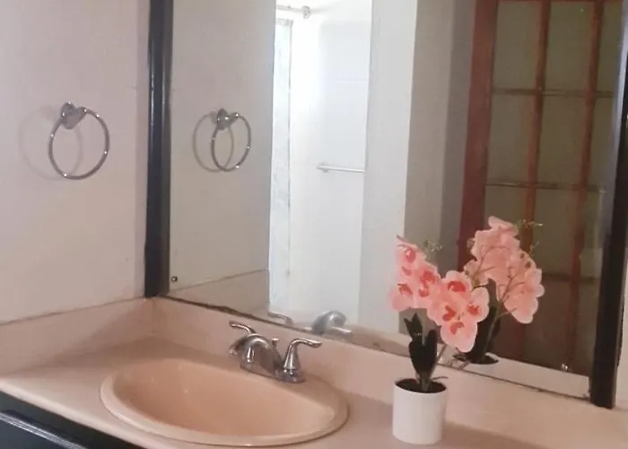 Penthouse Homestay